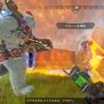 【APEX】ヒットボックス（当たり判定）とステータス「小柄／鉄壁」について【レイス最強！パスは溶けやすい？】