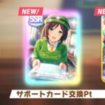 【ウマ娘】サポートSSR「たづなさん（駿川たづな）」は結局何が強いのか？魅力を理解しておこう【人権？必須キャラ？】