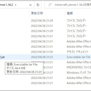 minecraft_server-jarfile