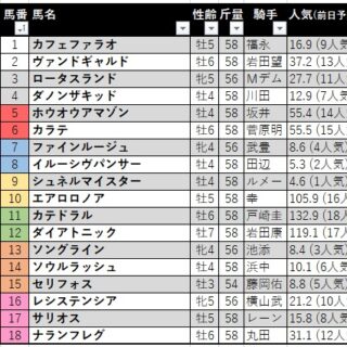 keiba-22-yasudakinen