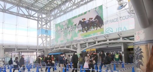 keiba-22-mile-cs-hanshin
